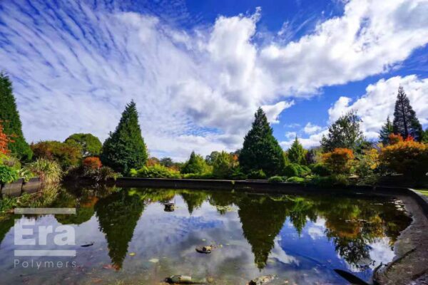 01. January – LINDA LUI – Blues Mountains, NSW, AUSTRALIA